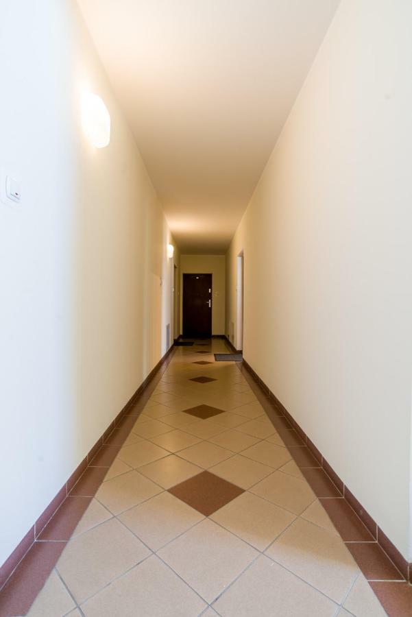 Classy - - Sloneczny Apartment *